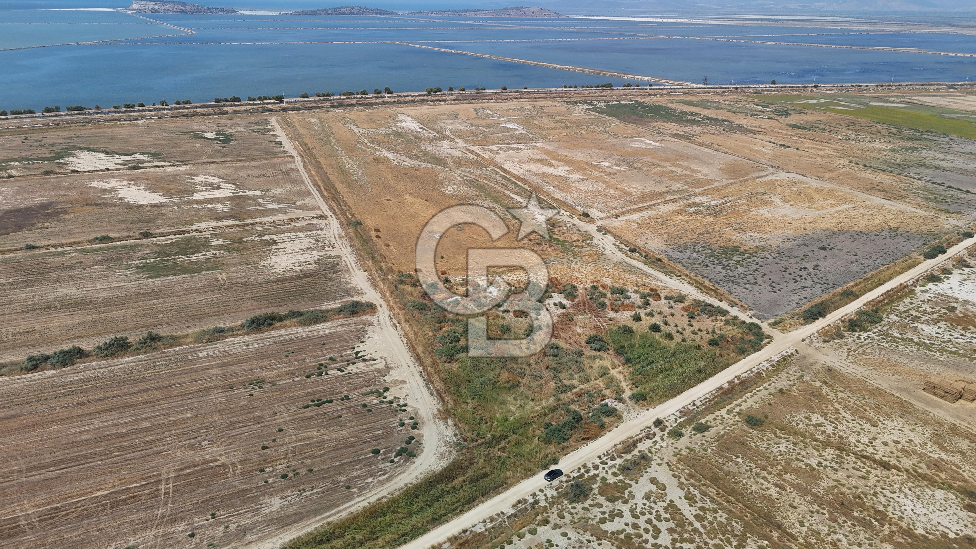 İzmir Menemen Süzbeyli' de 53 Dönüm Yol Cepheli Satılık Arazi