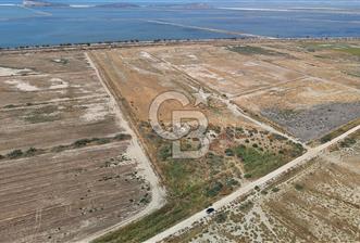İzmir Menemen Süzbeyli' de 53 Dönüm Yol Cepheli Satılık Arazi - 7 - 371306