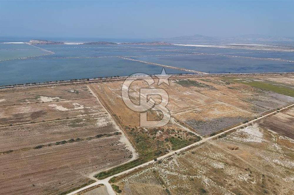 İzmir Menemen Süzbeyli' de 53 Dönüm Yol Cepheli Satılık Arazi