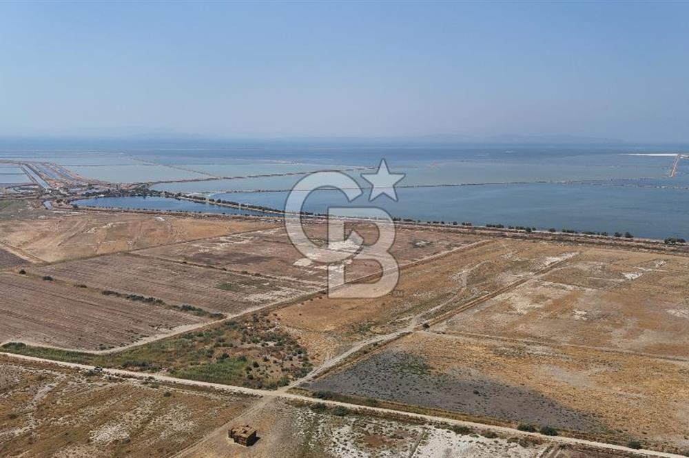 İzmir Menemen Süzbeyli' de 53 Dönüm Yol Cepheli Satılık Arazi