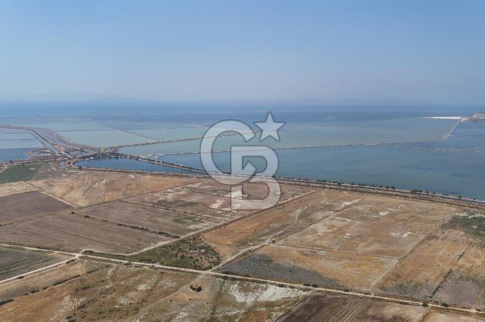 İzmir Menemen Süzbeyli' de 53 Dönüm Yol Cepheli Satılık Arazi