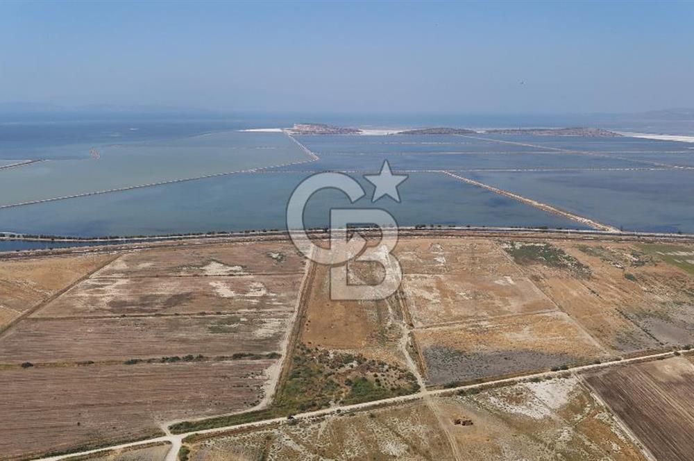 İzmir Menemen Süzbeyli' de 53 Dönüm Yol Cepheli Satılık Arazi