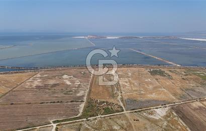İzmir Menemen Süzbeyli' de 53 Dönüm Yol Cepheli Satılık Arazi
