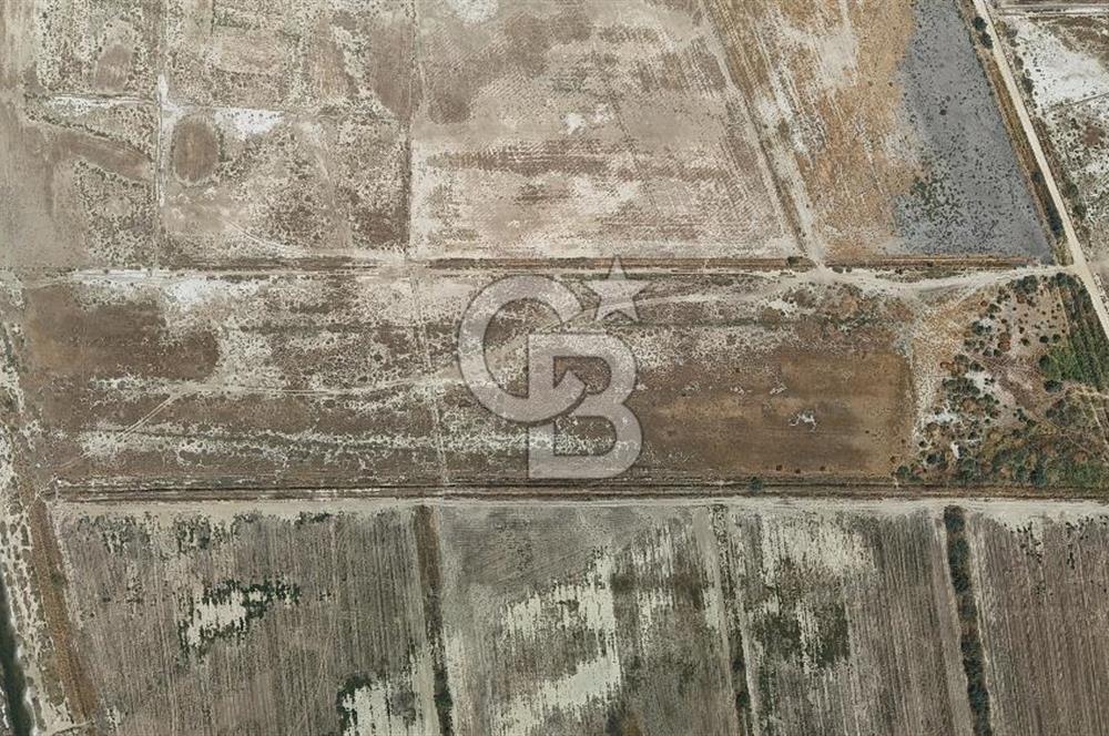 İzmir Menemen Süzbeyli' de 53 Dönüm Yol Cepheli Satılık Arazi