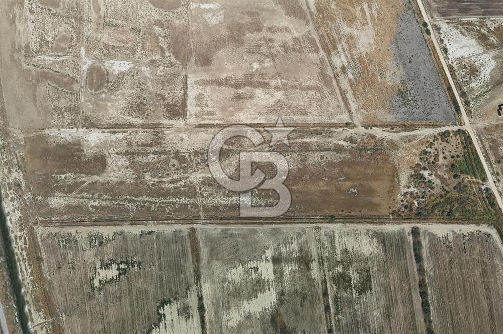 İzmir Menemen Süzbeyli' de 53 Dönüm Yol Cepheli Satılık Arazi