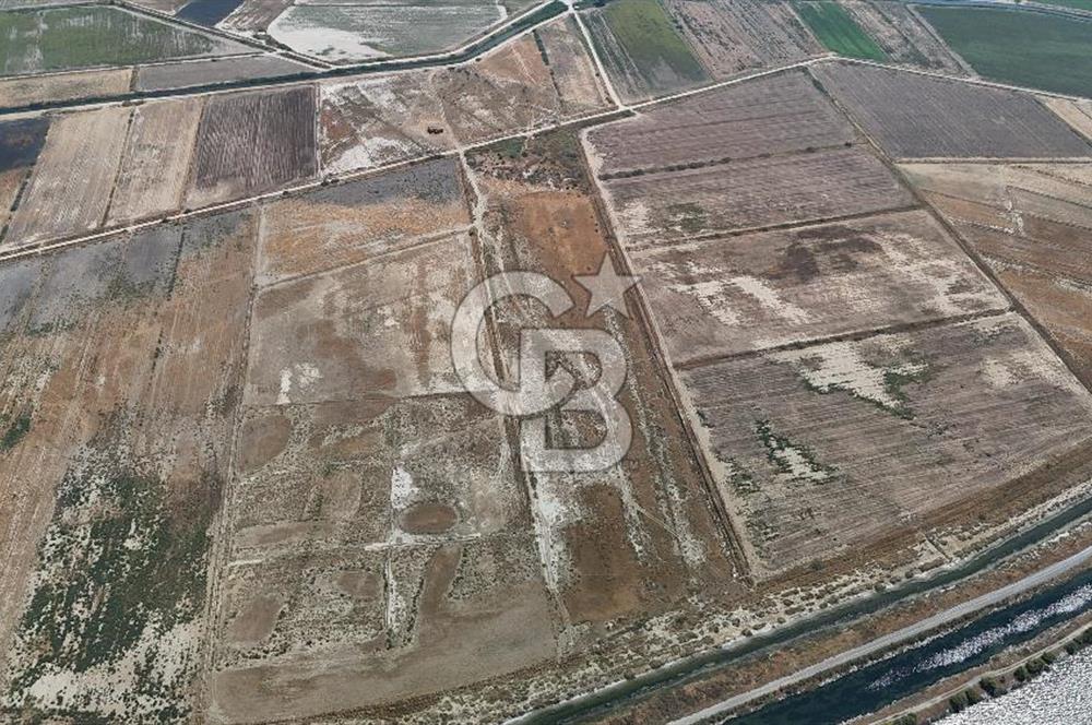 İzmir Menemen Süzbeyli' de 53 Dönüm Yol Cepheli Satılık Arazi