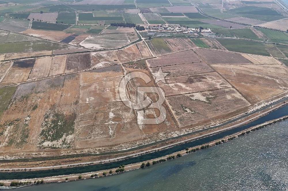 İzmir Menemen Süzbeyli' de 53 Dönüm Yol Cepheli Satılık Arazi
