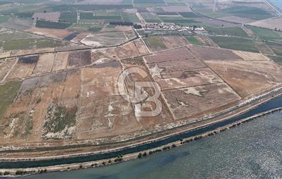 İzmir Menemen Süzbeyli' de 53 Dönüm Yol Cepheli Satılık Arazi