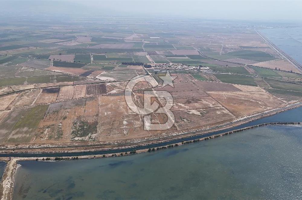 İzmir Menemen Süzbeyli' de 53 Dönüm Yol Cepheli Satılık Arazi