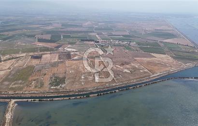 İzmir Menemen Süzbeyli' de 53 Dönüm Yol Cepheli Satılık Arazi