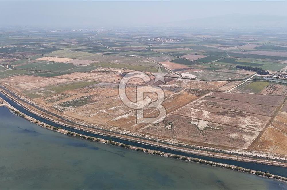 İzmir Menemen Süzbeyli' de 53 Dönüm Yol Cepheli Satılık Arazi