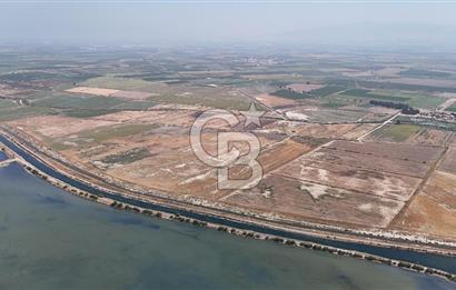 İzmir Menemen Süzbeyli' de 53 Dönüm Yol Cepheli Satılık Arazi
