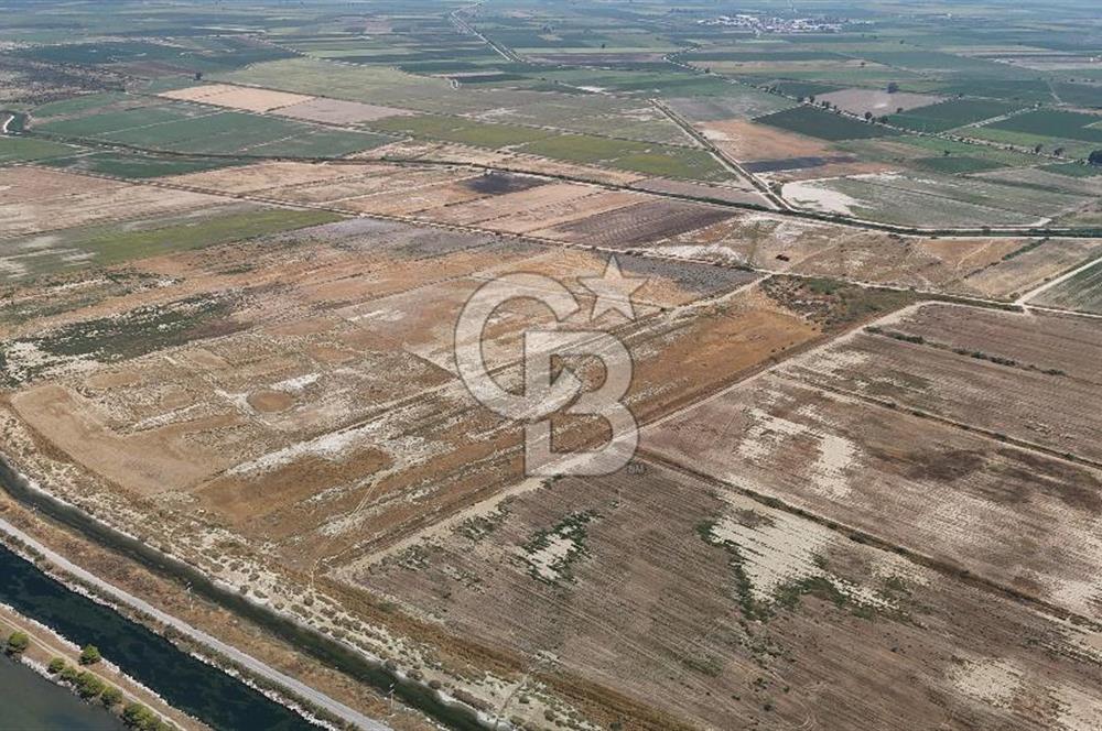 İzmir Menemen Süzbeyli' de 53 Dönüm Yol Cepheli Satılık Arazi