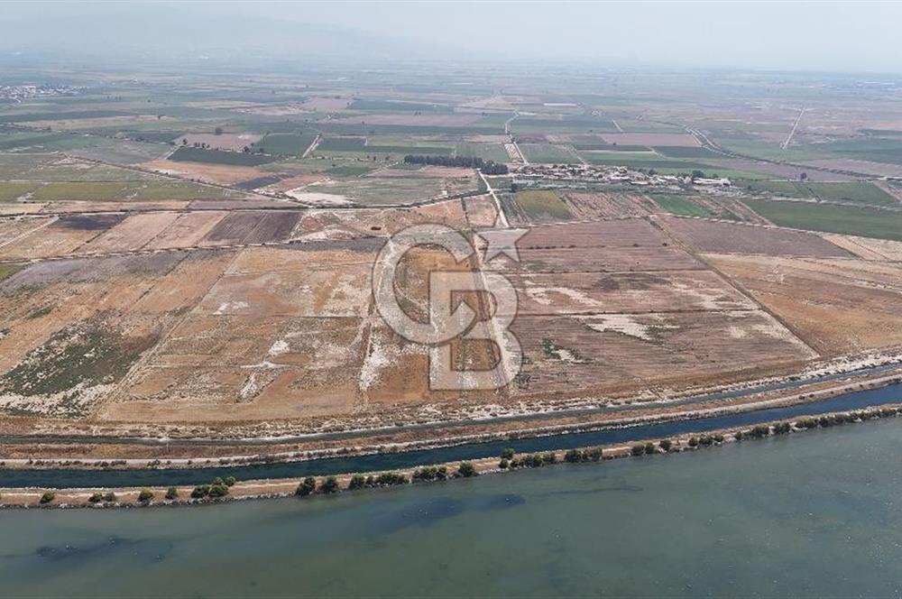 İzmir Menemen Süzbeyli' de 53 Dönüm Yol Cepheli Satılık Arazi
