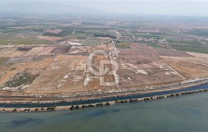 İzmir Menemen Süzbeyli' de 53 Dönüm Yol Cepheli Satılık Arazi