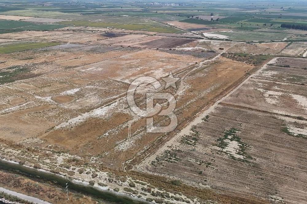 İzmir Menemen Süzbeyli' de 53 Dönüm Yol Cepheli Satılık Arazi