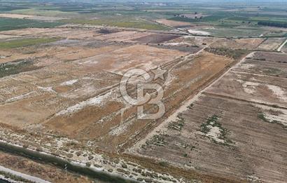 İzmir Menemen Süzbeyli' de 53 Dönüm Yol Cepheli Satılık Arazi