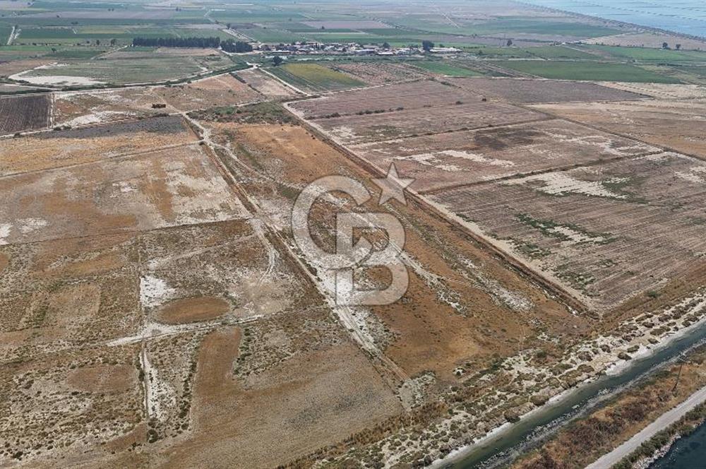 İzmir Menemen Süzbeyli' de 53 Dönüm Yol Cepheli Satılık Arazi
