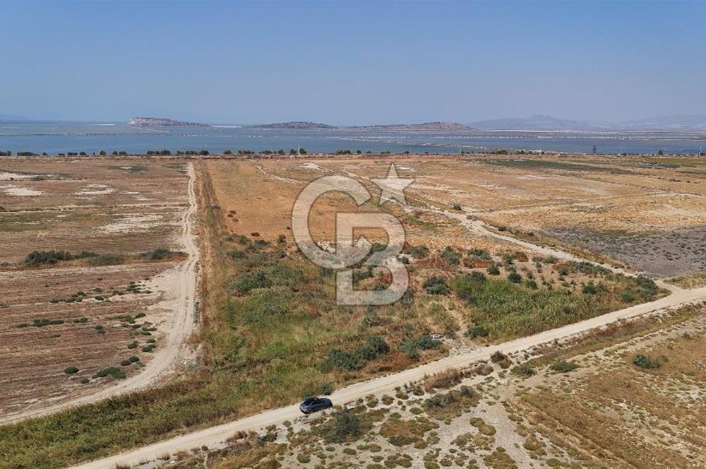 İzmir Menemen Süzbeyli' de 53 Dönüm Yol Cepheli Satılık Arazi