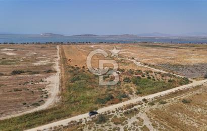 İzmir Menemen Süzbeyli' de 53 Dönüm Yol Cepheli Satılık Arazi