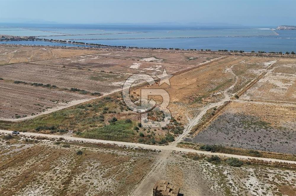 İzmir Menemen Süzbeyli' de 53 Dönüm Yol Cepheli Satılık Arazi
