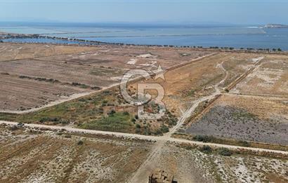 İzmir Menemen Süzbeyli' de 53 Dönüm Yol Cepheli Satılık Arazi
