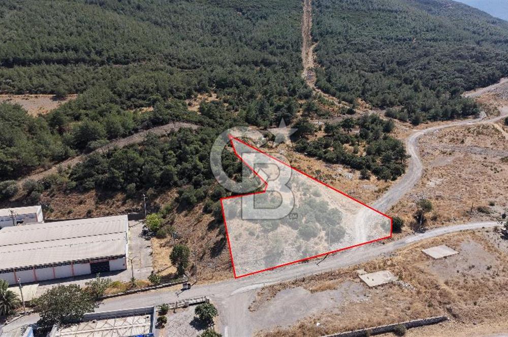 Kemalpaşa OSB’de Satılık Sanayi İmarlı Arsa