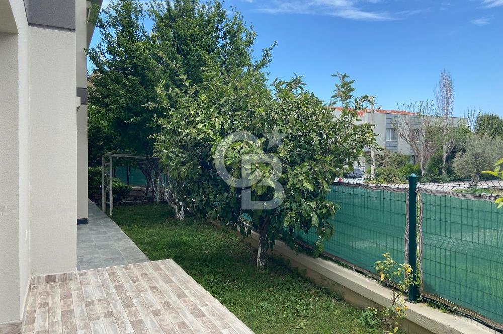Zeytinalanı'nda Satılık 3 Daireli Komple Bina-Yatırımlık Fırsat