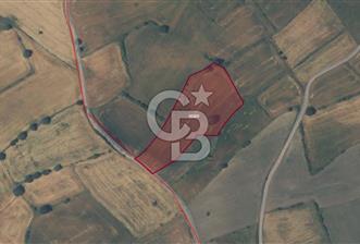 ÇANAKKALE BİGA YENİMAHALLEDE SATILIK YATIRIMLIK TARLA - 2 - 371325