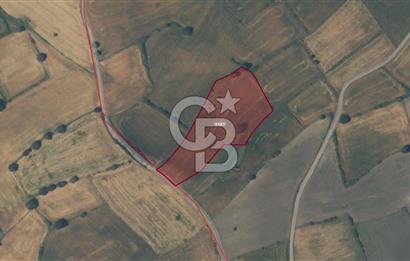 ÇANAKKALE BİGA YENİMAHALLEDE SATILIK YATIRIMLIK TARLA