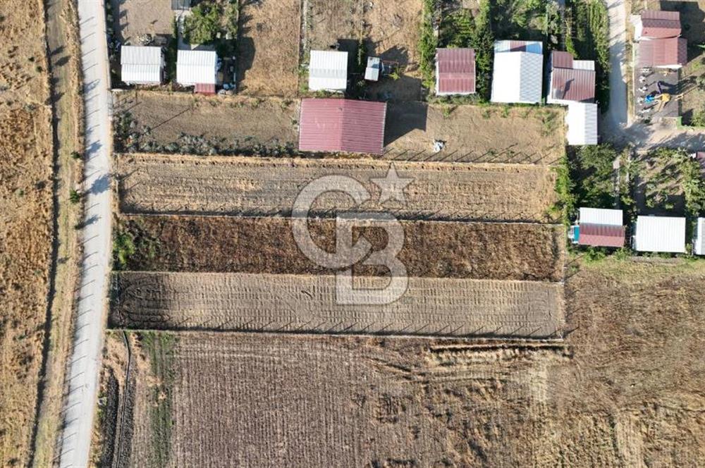 KUŞADASI ANAYOLUNA YAKIN 980 m² ETRAFI ÇEVRİLİ HİSSELİ TAPU