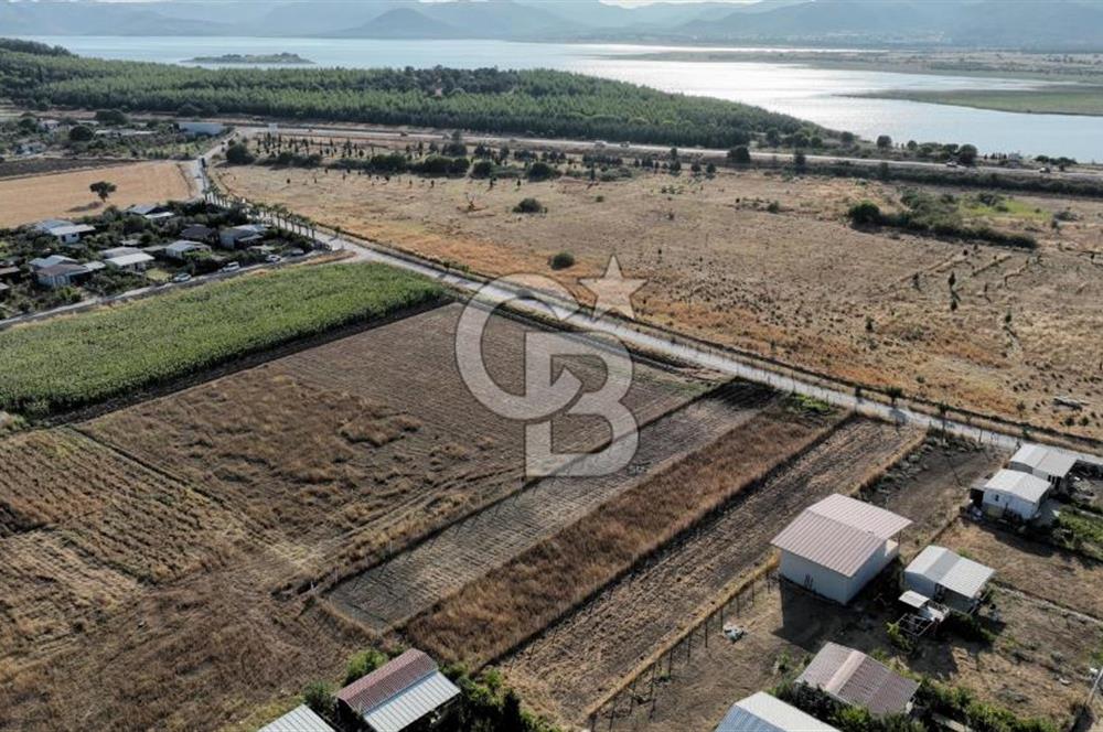 KUŞADASI ANAYOLUNA YAKIN 980 m² ETRAFI ÇEVRİLİ HİSSELİ TAPU