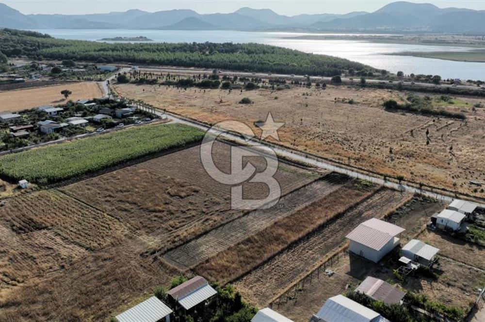 KUŞADASI ANAYOLUNA YAKIN 980 m² ETRAFI ÇEVRİLİ HİSSELİ TAPU