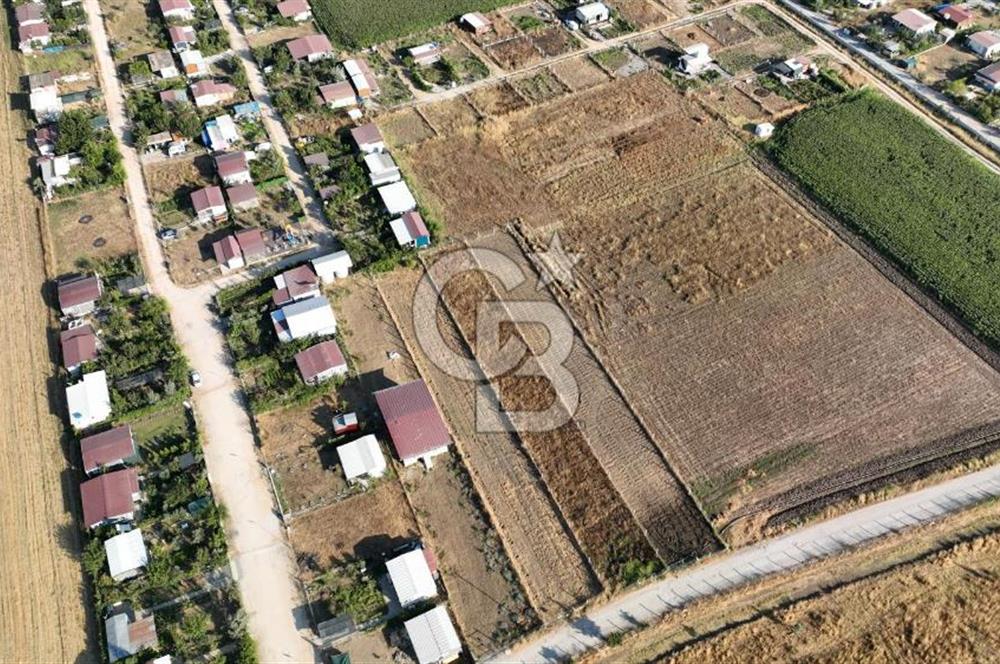 KUŞADASI ANAYOLUNA YAKIN 980 m² ETRAFI ÇEVRİLİ HİSSELİ TAPU