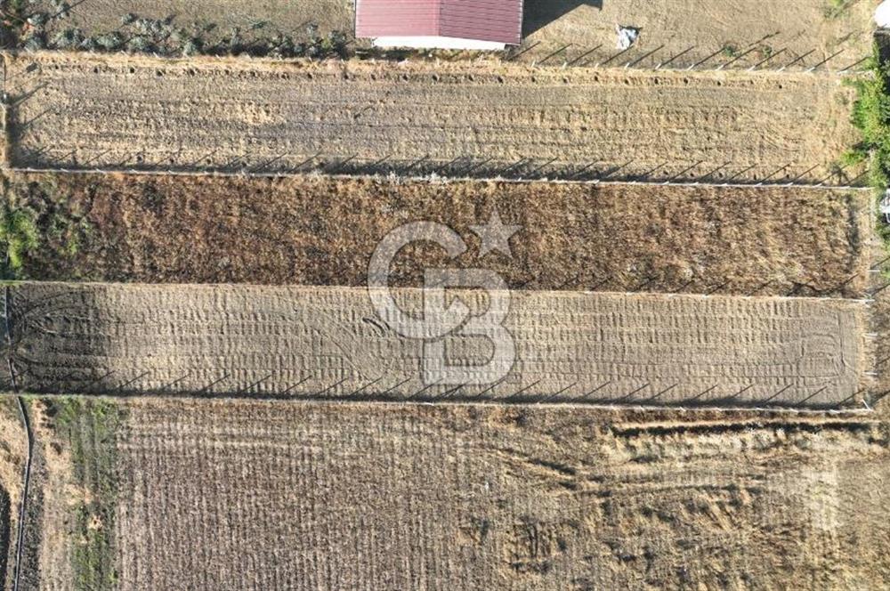 KUŞADASI ANAYOLUNA YAKIN 980 m² ETRAFI ÇEVRİLİ HİSSELİ TAPU