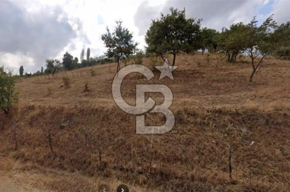 ÇANAKKALE BİGA YENİMAHALLEDE KÖY İÇİNDE TARLA