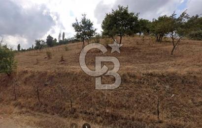 ÇANAKKALE BİGA YENİMAHALLEDE KÖY İÇİNDE TARLA