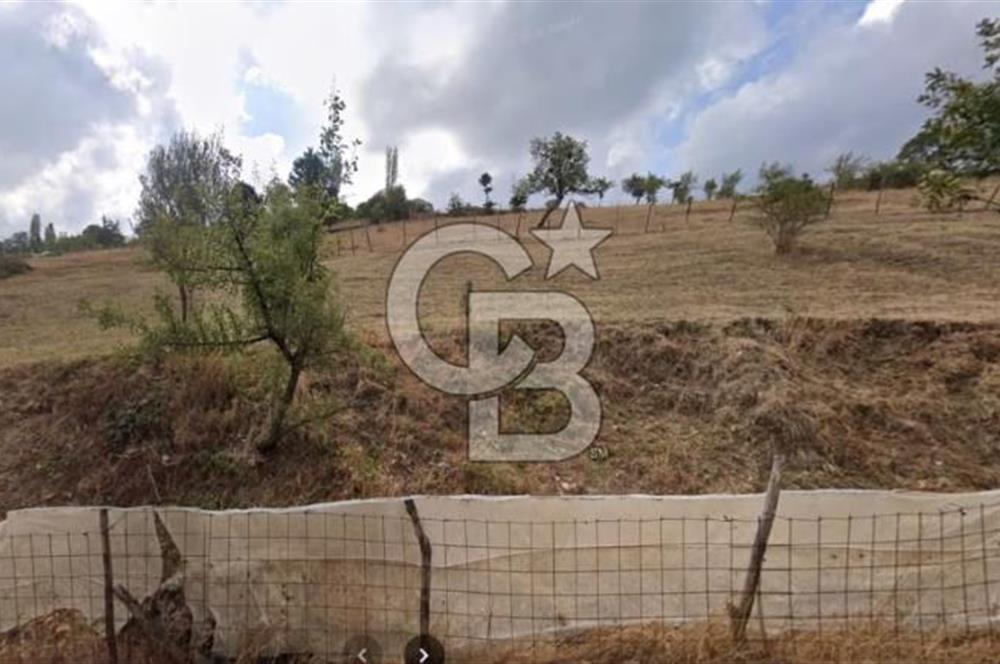 ÇANAKKALE BİGA YENİMAHALLEDE KÖY İÇİNDE TARLA