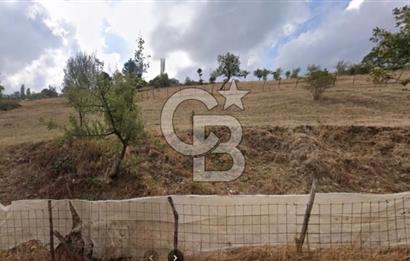 ÇANAKKALE BİGA YENİMAHALLEDE KÖY İÇİNDE TARLA