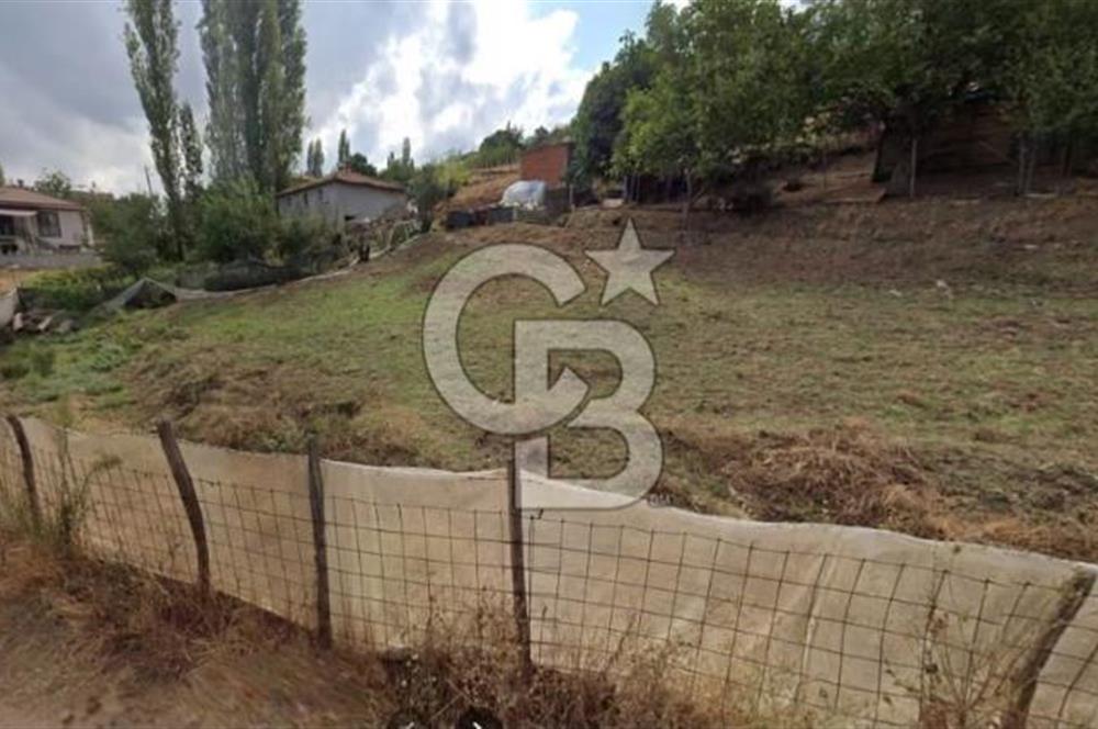 ÇANAKKALE BİGA YENİMAHALLEDE KÖY İÇİNDE TARLA