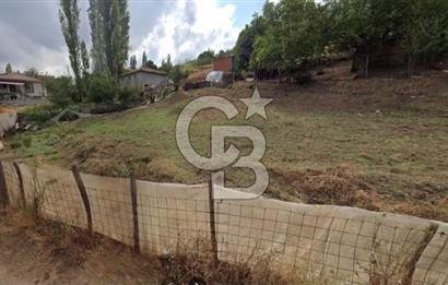 ÇANAKKALE BİGA YENİMAHALLEDE KÖY İÇİNDE TARLA