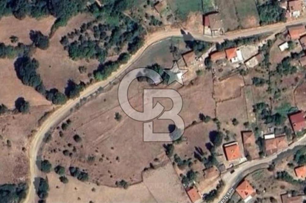 ÇANAKKALE BİGA YENİMAHALLEDE KÖY İÇİNDE TARLA