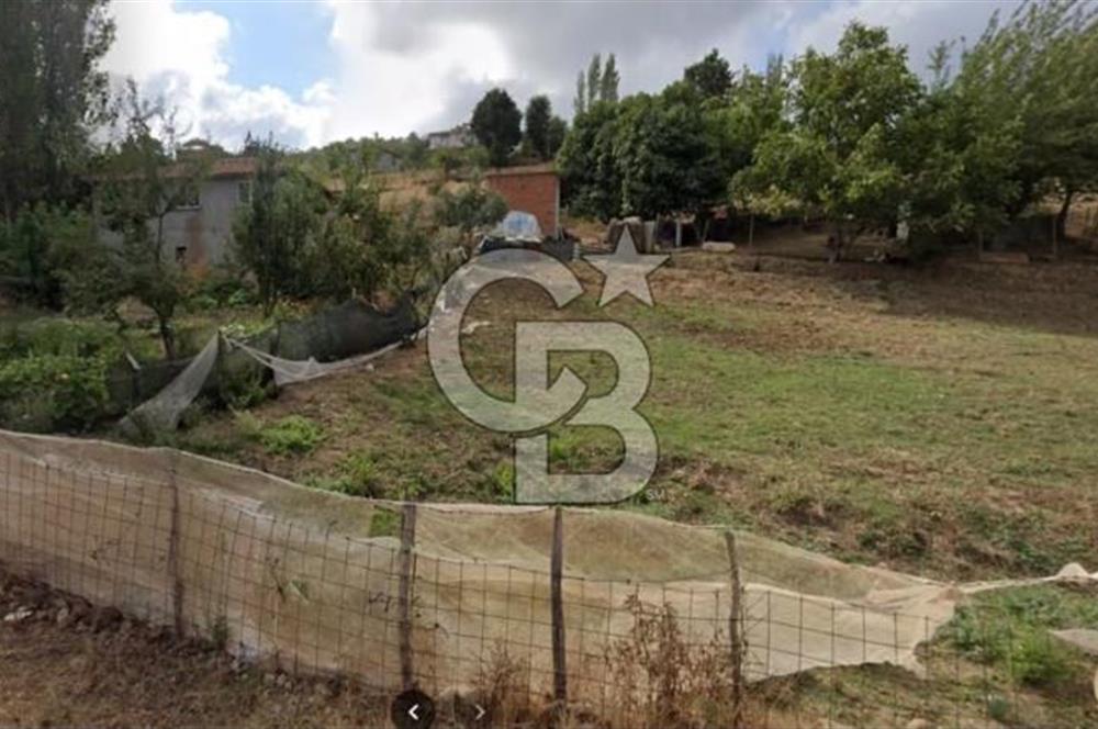 ÇANAKKALE BİGA YENİMAHALLEDE KÖY İÇİNDE TARLA