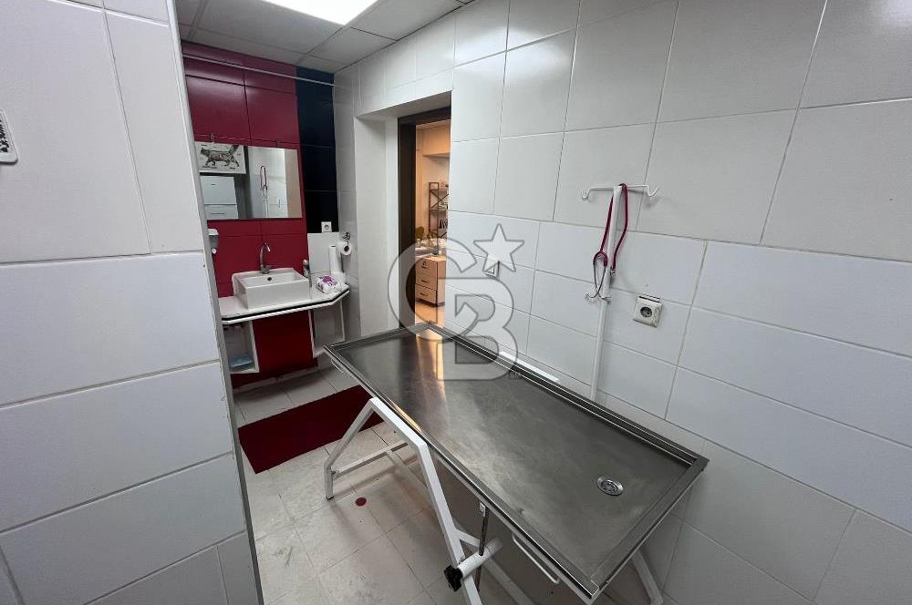 BUCA HİPODROM YAKINI DEVREN KİRALIK VETERİNER