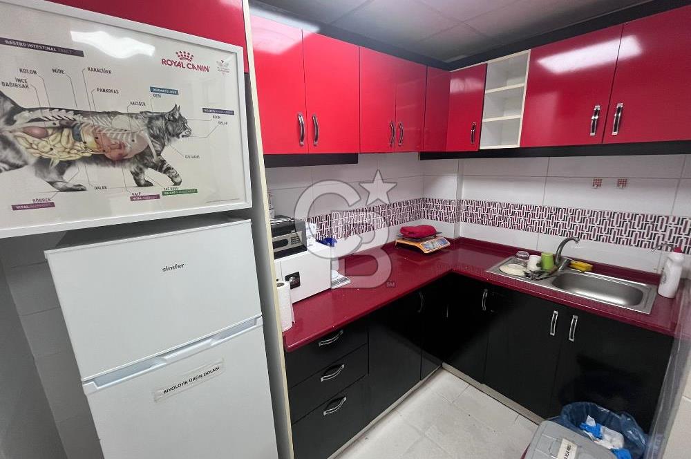 BUCA HİPODROM YAKINI DEVREN KİRALIK VETERİNER