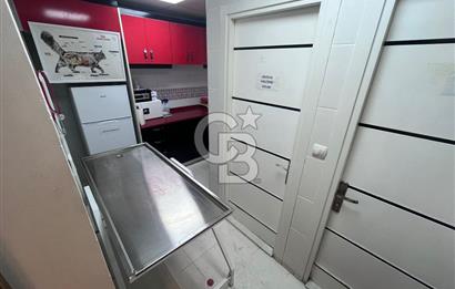 BUCA HİPODROM YAKINI DEVREN KİRALIK VETERİNER