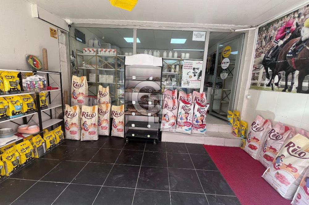 BUCA HİPODROM YAKINI DEVREN KİRALIK VETERİNER