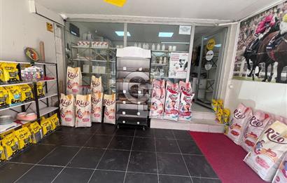 BUCA HİPODROM YAKINI DEVREN KİRALIK VETERİNER