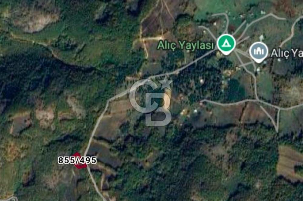 CB BOŞREL'DEN İZNİK ELMALIDA DOĞAYLA İÇ İÇE SATILIK FIRSAT 