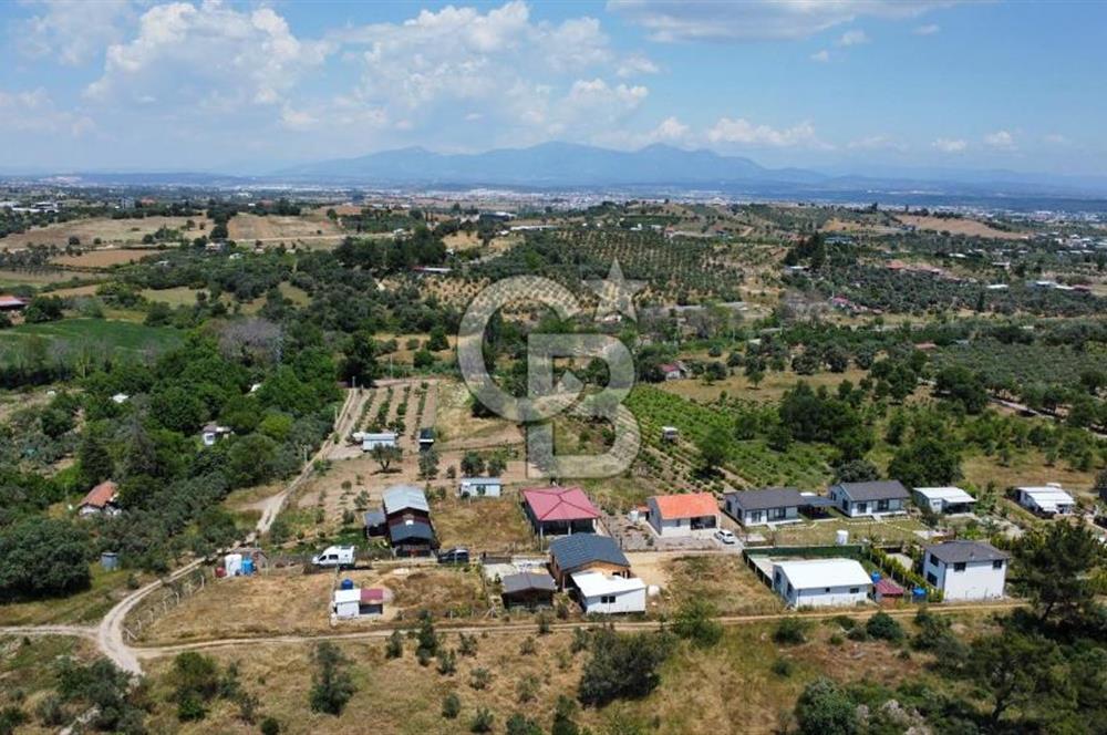 İzmir Menderes Dereköy'de Satılık Hisse Tapulu Bahçe